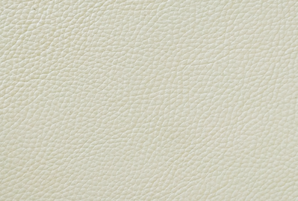 NS92-Antarctic White